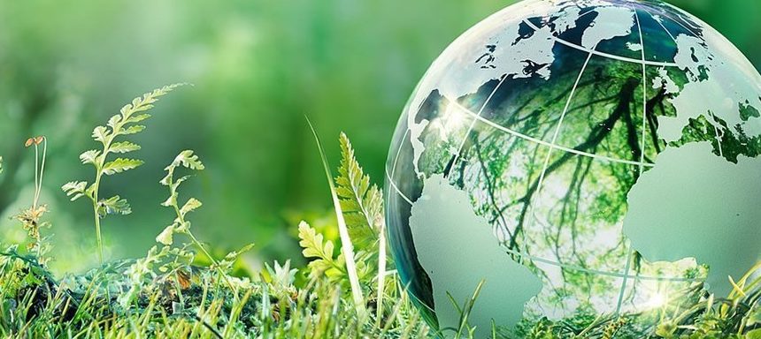 We-face-an-ecological-crisis Mr. Green