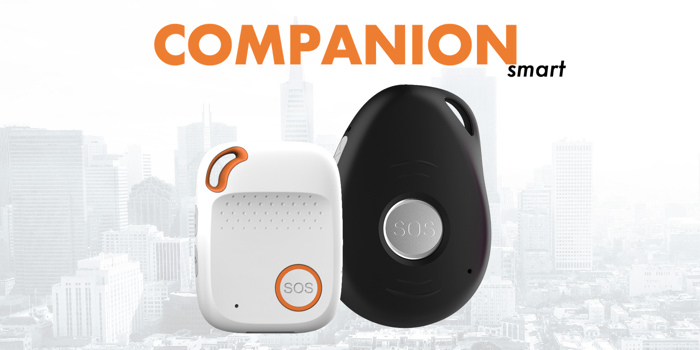 LI COMsmart small COMPANIONsmart